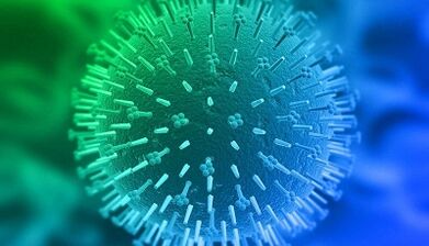 routes of infection by human papillomavirus