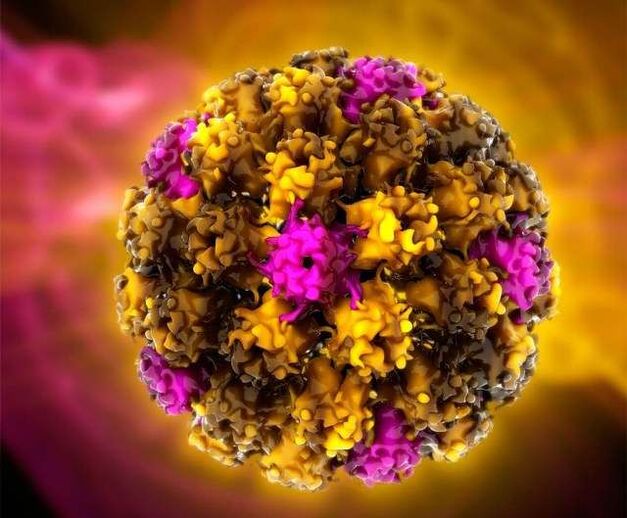 Human papillomavirus