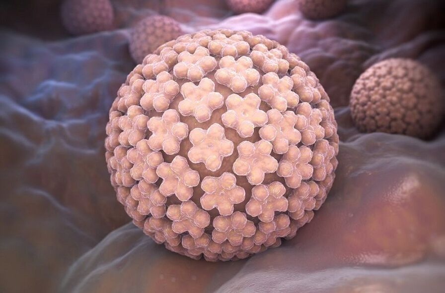 human papilloma virus causing warts